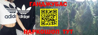 шишки Ноябрьск