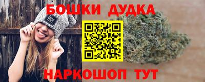 шишки Ноябрьск