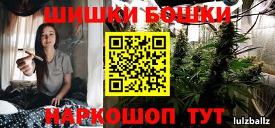шишки Ноябрьск