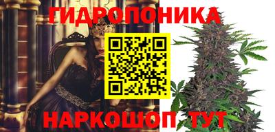 шишки Ноябрьск